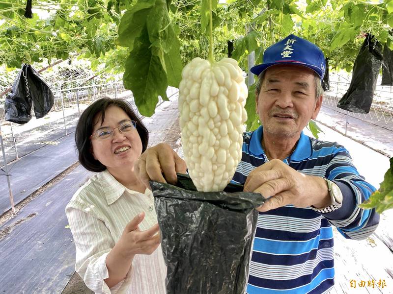 瓜農張振榮（右）今年拿下大樹苦瓜評鑑冠軍，區長汪小芬（左）將大力行銷農特產。（記者洪臣宏攝）