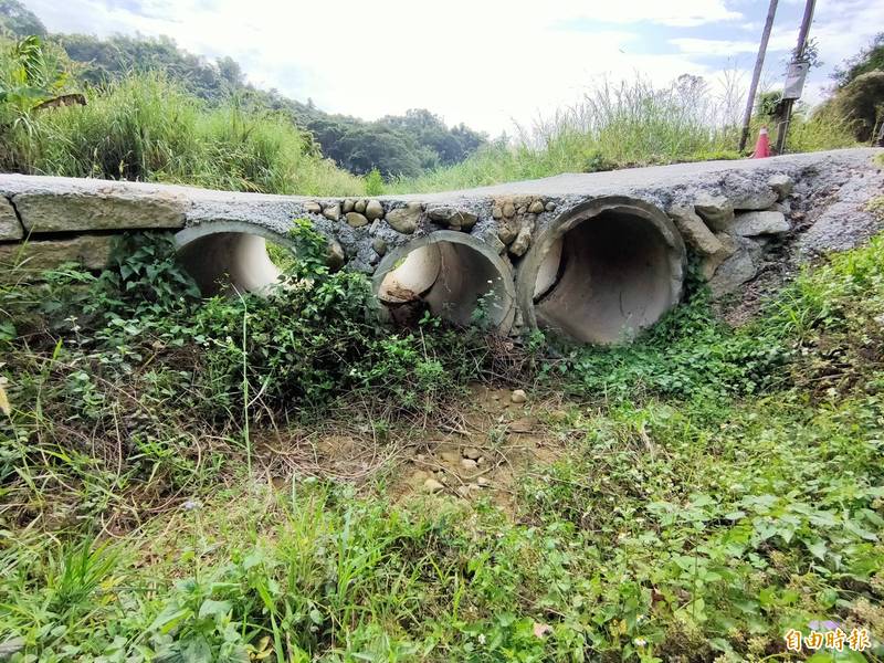 埔里鎮一新里台牛坑后湖橋上游去年8月豪雨導致河岸崩塌、箱涵沖毀，土砂向下淤積，導致台灣白魚重要棲地被掩埋，目前溪床乾涸，雜草叢生。（記者佟振國攝）