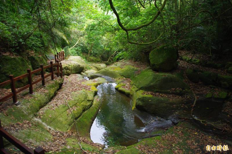 草嶺步道多已修復，加上對外交通可望打開，觀光可期。（記者詹士弘攝）