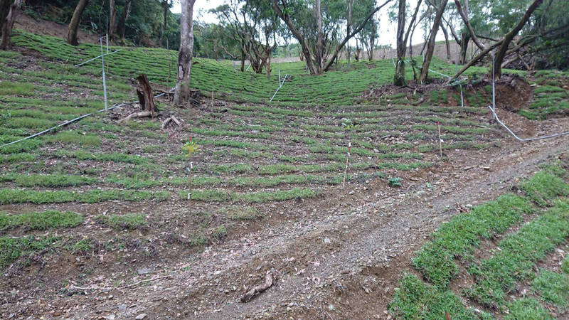 旺旺金盈谷瀑布山坡地整地違規宜縣府擬開罰 生活 自由時報電子報