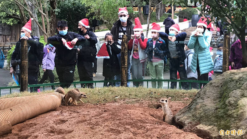 受邀來園暢遊六福村的小朋友們進入野生動物王國，從狐獴開始共學認識環境保育的重要。（記者黃美珠攝）