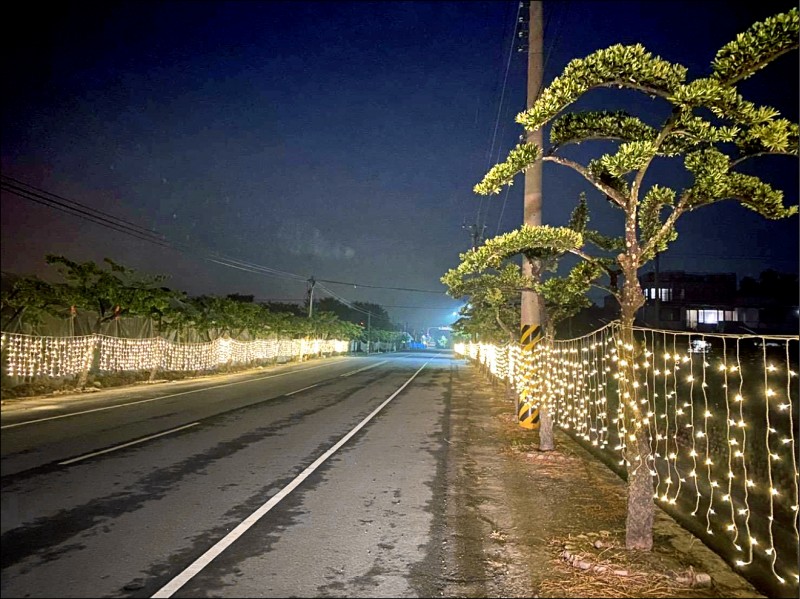 「千萬羅漢松」大道完成點燈，成浪漫夜間光廊。（記者詹士弘翻攝）