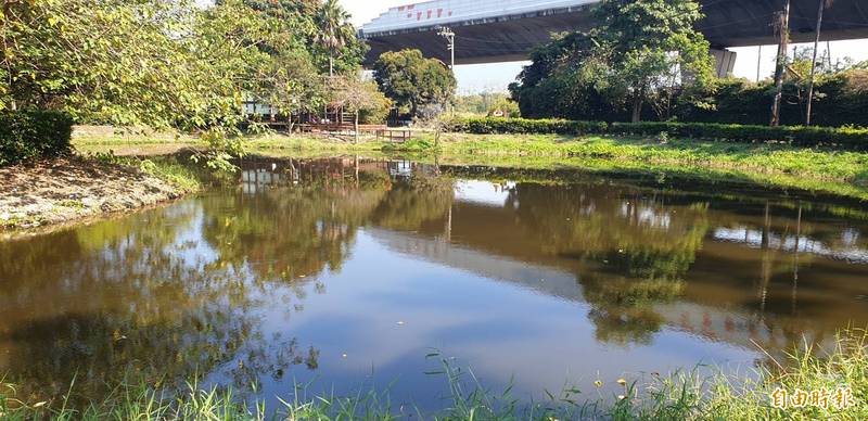 麟洛運動公園在縣府進行綠鬣蜥大獵捕後，已不易見到綠鬣蜥蹤跡。（記者葉永騫攝）