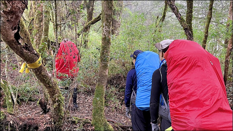 南投縣消防搜救人員搜尋登白姑山迷路失聯的陳姓登山客。（南投縣消防局提供）