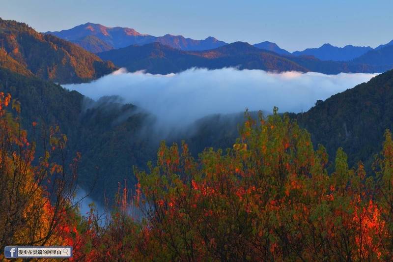 小笠原山超廣角楓紅大雲海。（圖由黃源明提供）