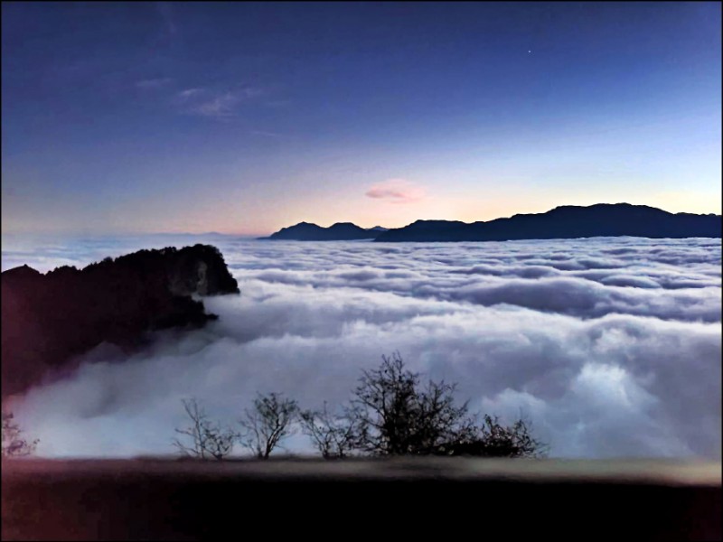 阿里山昨日出、雲海齊出，嘉義林管處指稱讚是近２０年來最美新年日出。（記者王善嬿攝）