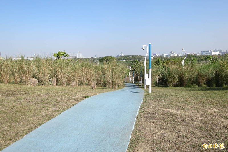 中央公園藍色運動步道加上五節芒是很多人加卡景點（記者蘇金鳳攝）