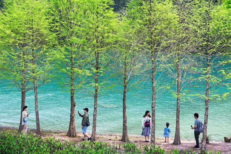 不是空拍 日月潭攝影賽揭曉湖水綠 潑墨山水驚豔 生活 自由時報電子報