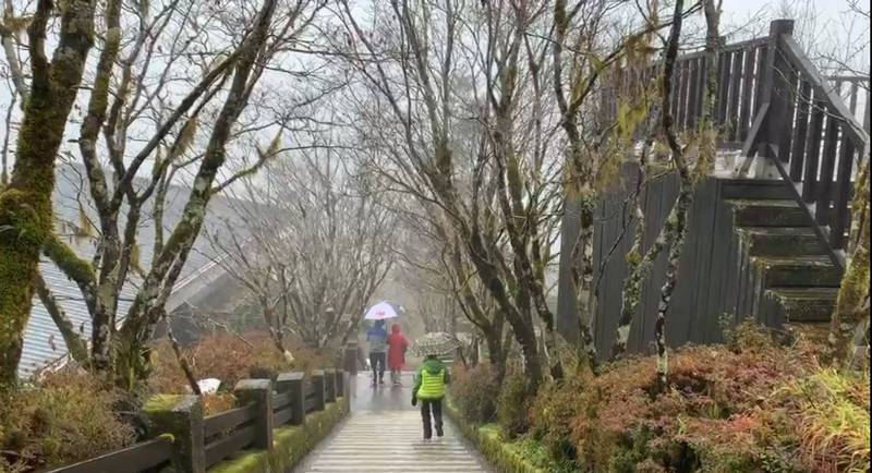 太平山今天飄著小雨降到3度，若氣溫持續下探就有可能下雪。（記者江志雄翻攝）