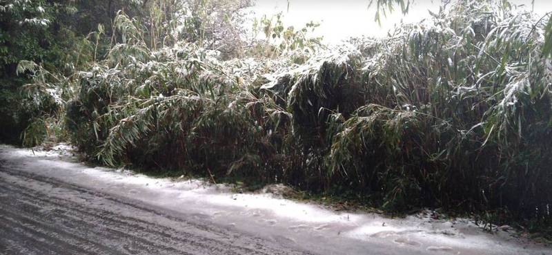 陽明山部分道路已被白雪覆蓋。（記者劉慶侯翻攝）