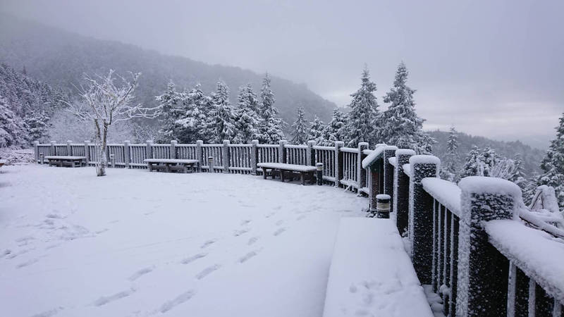太平山積雪已超過10公分，明天仍會實施中午12點後禁止入園的設施。（太平山森林遊樂區提供）
