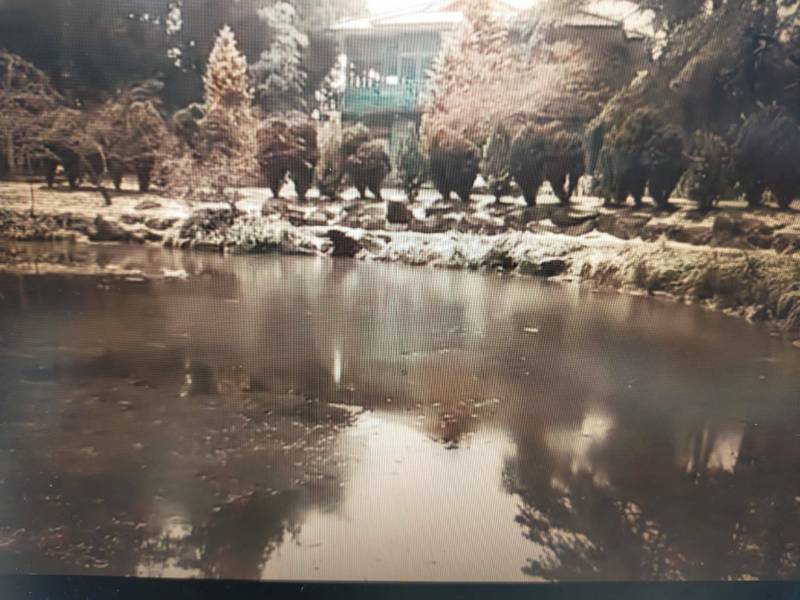 福壽山農場白雪皚皚天池結冰 生活 自由時報電子報
