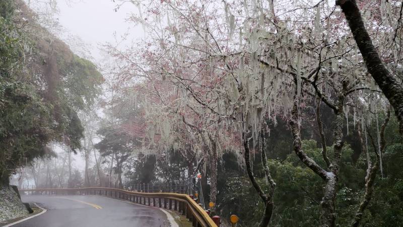 寒流來襲，台灣多處山區降雪，吸引不少追雪族上山。（資料照）