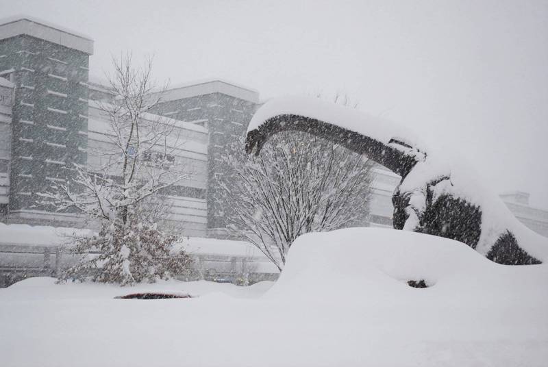 量 上越 市 積雪