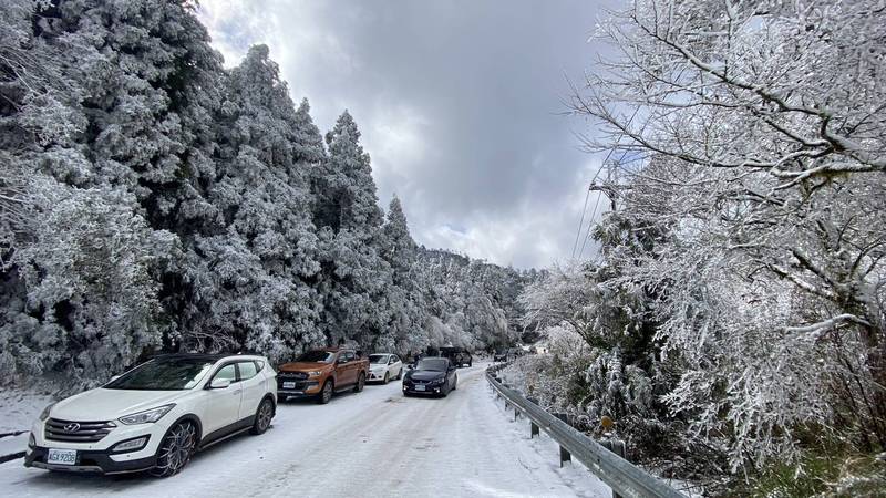 台七甲線白雪美景，吸引民眾上山追雪。（武陵農場提供）