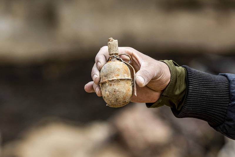 美国维吉尼亚州一名12岁男童，去年被家人从古董店买回来的手榴弹炸死。手榴弹示意图。（法新社）(photo:LTN)