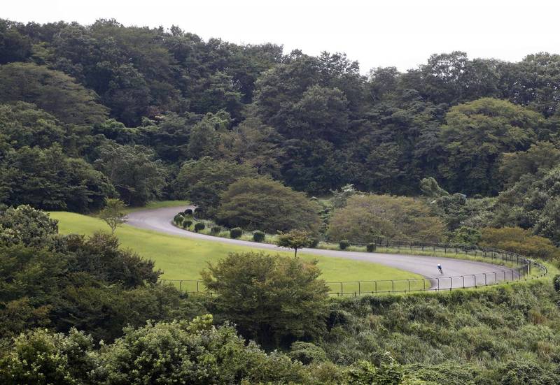 日本千葉縣3名獵人在山上過夜，孰料卻集體陳屍在帳篷裡。日本山林示意圖。（路透）