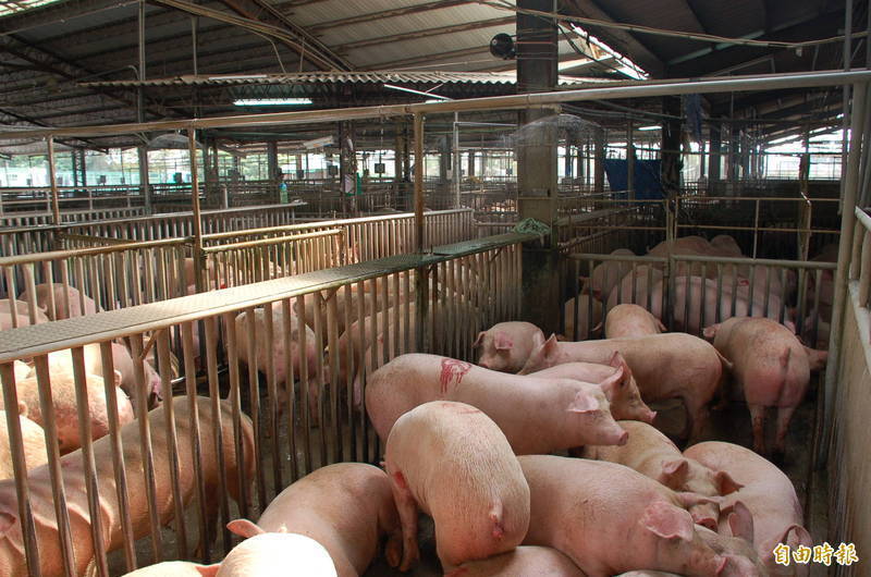 國民黨批豬價攀高  農委會統計顯示10年來1月均價2015年最高 - 生