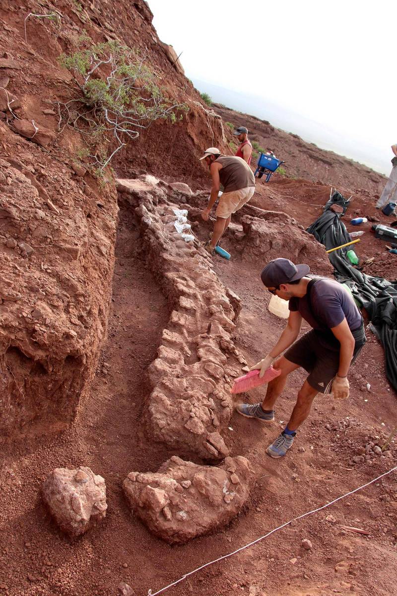 發現超大型化石！考古學家在阿根廷挖出史上最大恐龍- 蒐奇- 自由時報電子報