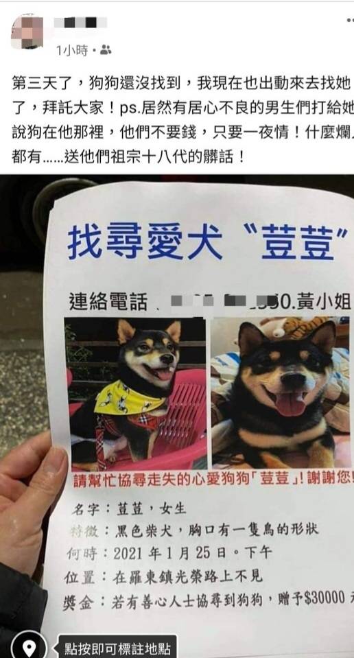 宜蘭縣羅東鎮黃小姐的愛犬走失，上網請求協尋卻遭性騷擾，友人代為上網PO憤怒文。（記者江志雄翻攝）