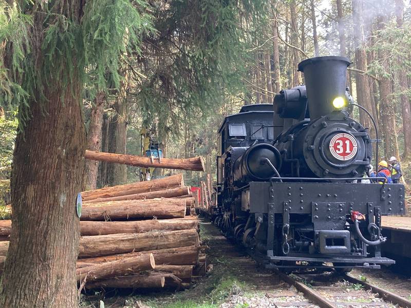 阿里山林鐵重現百年前運送木材場景。（林鐵及文資處提供）