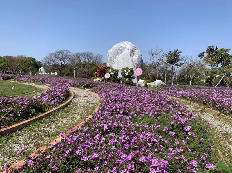 后里的環保公園，目前波斯菊、馬櫻丹雙色花海綻放中。（市府提供）