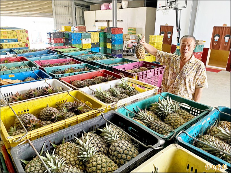 東港名店佳珍海產餐廳挺鳳梨農，昨天買入大量鳳梨，未來要分送給顧客。（記者陳彥廷攝）