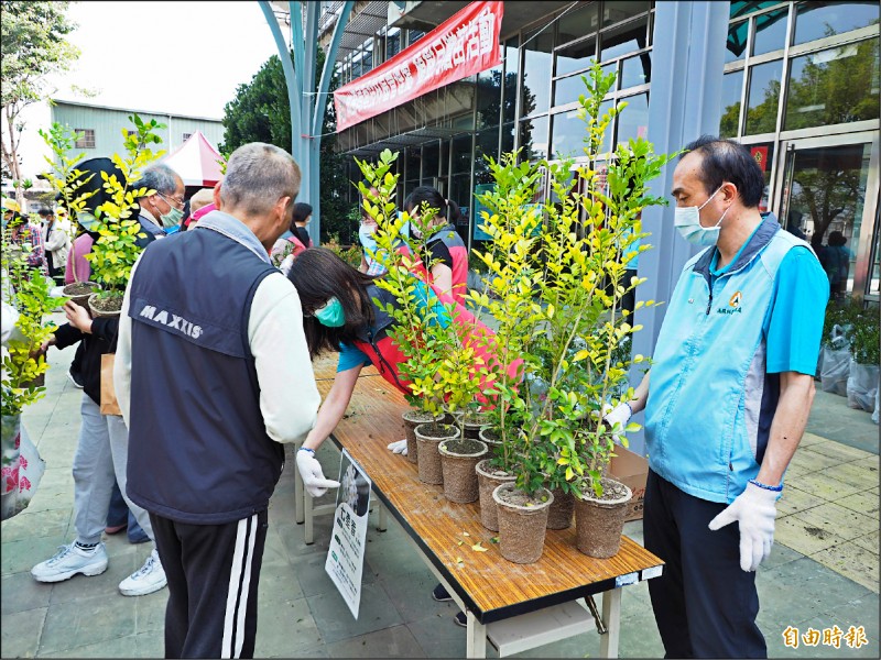 南投林管泵贈樹苗活動非常搶手，每人最多可用發票換5盆，今年所有苗木都用紙盆子裝，未來可溶解在土中。（記者陳鳳麗攝）