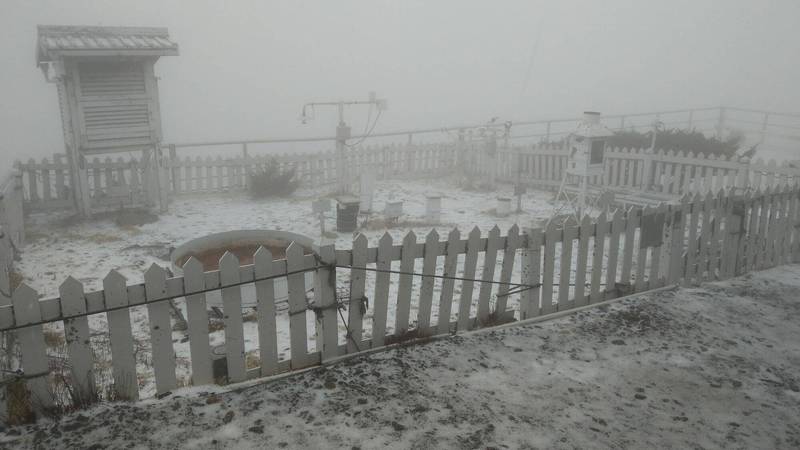 玉山今日又飄降瑞雪，北峰氣象站呈現北國白雪風情。（氣象局提供）