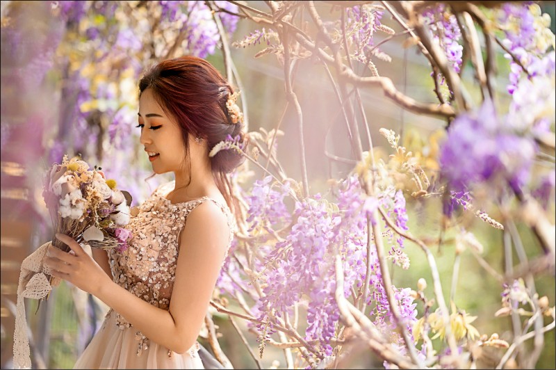 新人在瑞里紫色山城，拍下絕美婚紗。（阿里山國家風景區管理處提供）