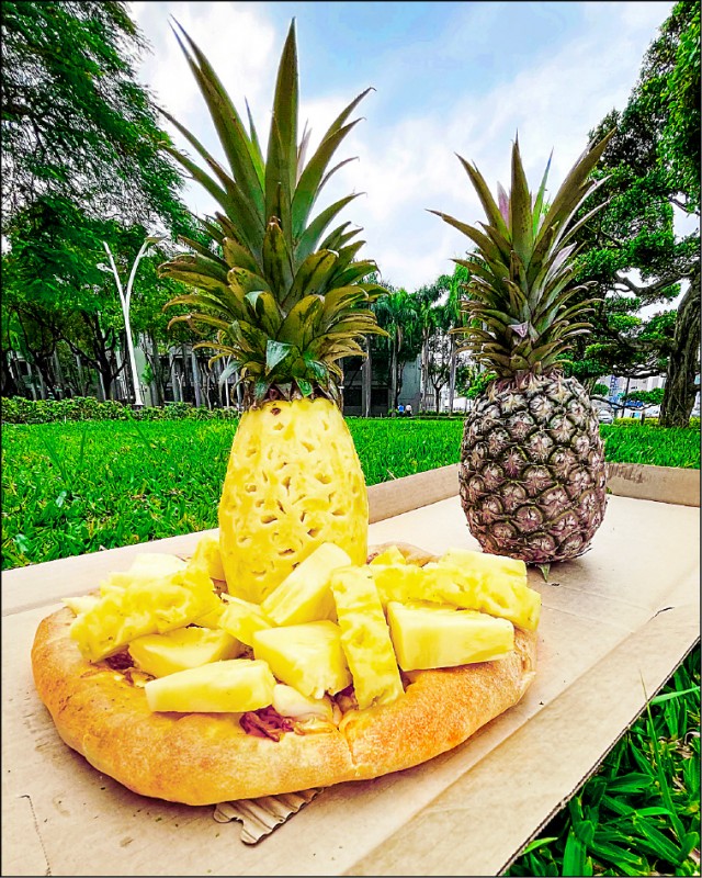 中國封殺我鳳梨屏東首當其衝穩價定農心 潘孟安 突破關稅障礙行銷世界 生活 自由時報電子報