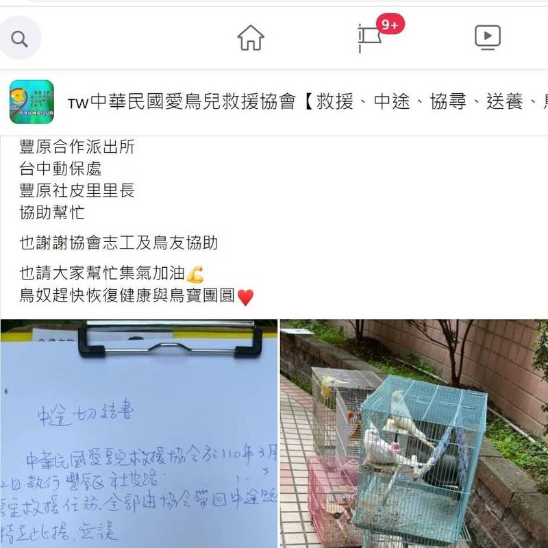 中華民國愛鳥兒救援協會到李女住家救出26隻小鳥。（擷取自網路）