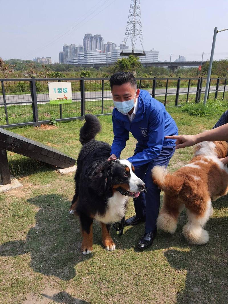 新竹市狗狗公園完工了 多隻名貴毛寶貝體驗好樂 生活 自由時報電子報