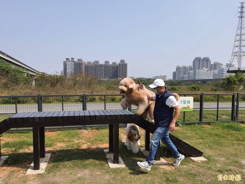 新竹市狗狗公園完工了 多隻名貴毛寶貝體驗好樂 生活 自由時報電子報