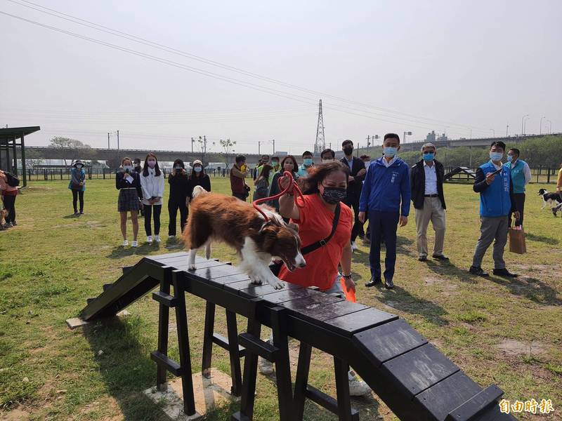 新竹市狗狗公園完工了 多隻名貴毛寶貝體驗好樂 生活 自由時報電子報