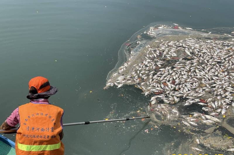 南市環保局接獲通報後即派員到運河採集水樣及打撈魚屍。（圖由議員李啟維提供）