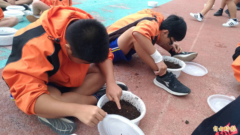 新市國中在校內打造蚯蚓魚菜共生系統，學生今也開始飼養蚯蚓，實際了解循環經濟的過程。（記者萬于甄攝）