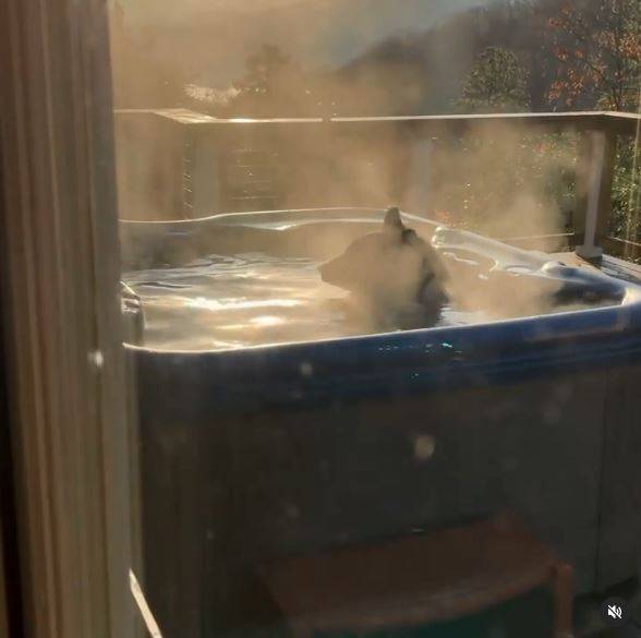 The black bear stepped into the hot tub on the outdoor terrace to take a bath, looking quite comfortable.  (The picture is taken from the personal IG of thesingingdoc)