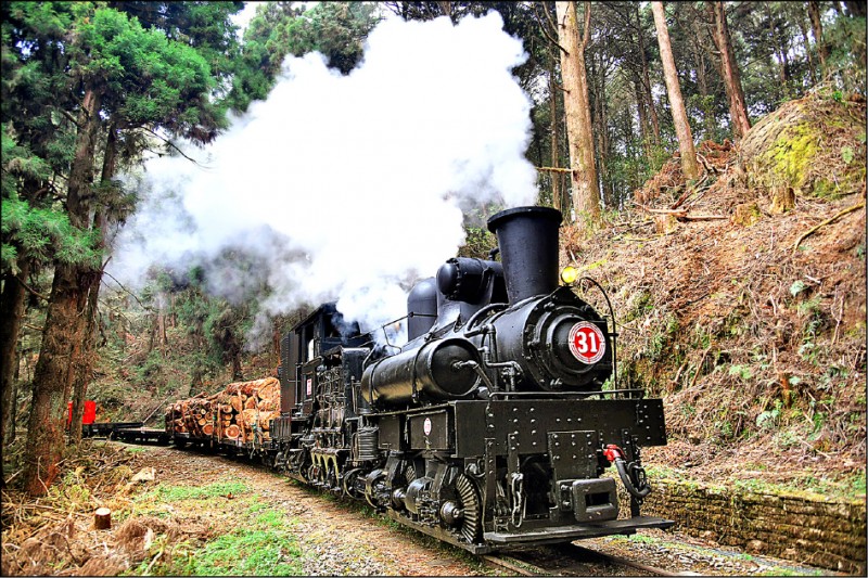 阿里山林鐵蒸汽火車昨運送疏伐木材，重現百年前經典畫面。（阿里山林鐵及文資處提供）