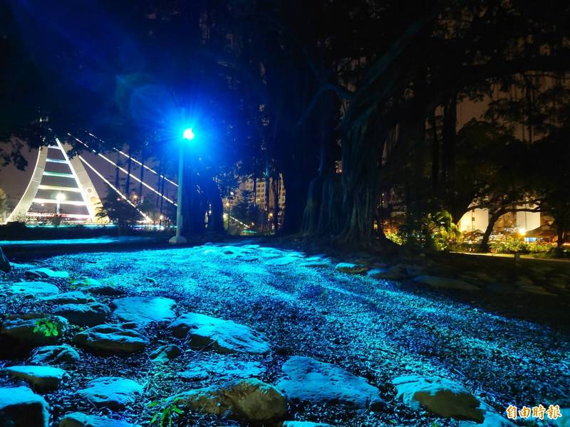 運河星鑽區公園樹影迷夢，宛如站在獨秀的燈光舞台。（記者洪瑞琴攝）