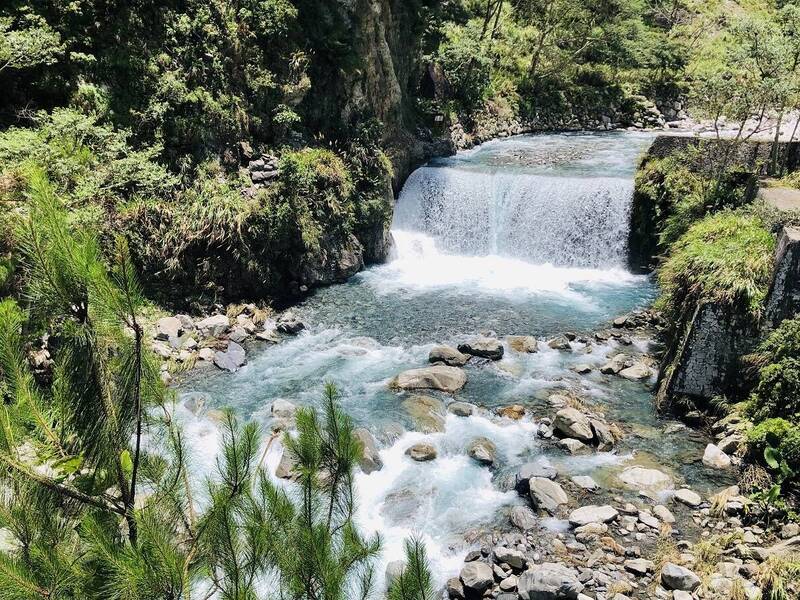 八仙山森林遊樂區設施整修6月底前入園半價 生活 自由時報電子報