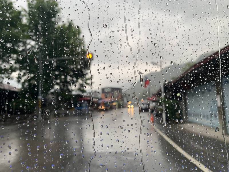 高雄山區下雨了遊覽車乘客全體歡呼 生活 自由時報電子報