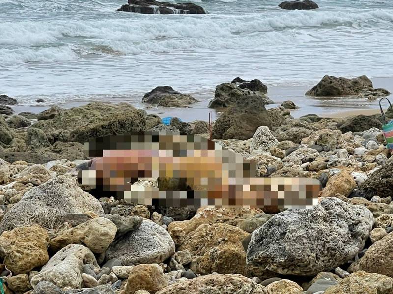 劉男屍體今日於風吹沙尋獲。（民眾提供）