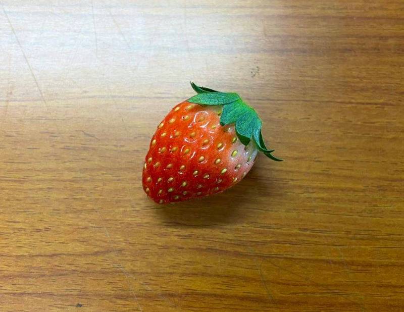 草莓是不少民眾喜歡的水果，但很少人看過它發芽。（圖取自推特「@masanori_nozawa」）
