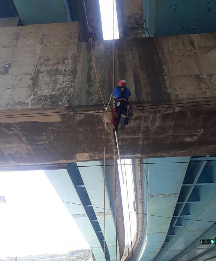 基隆市有貓咪受困西岸高架橋墩多日，民眾通報後，出動蜘蛛人吊掛，警方還協助道路交通管制，盼能協助貓咪脫困。（圖為基隆動保所提供）