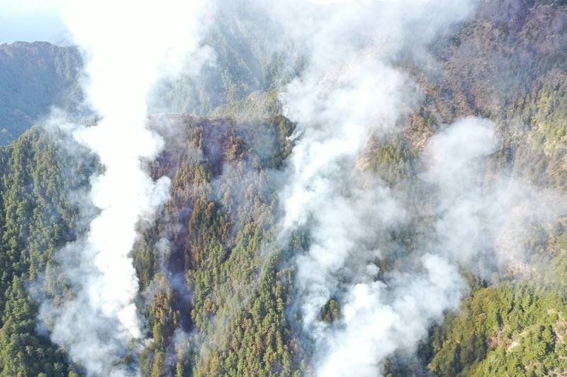 八通關古道杜鵑營地因5名登山客炊煮不慎，16日凌晨5點發生森林大火，引發外界關注。（嘉義林管處提供）