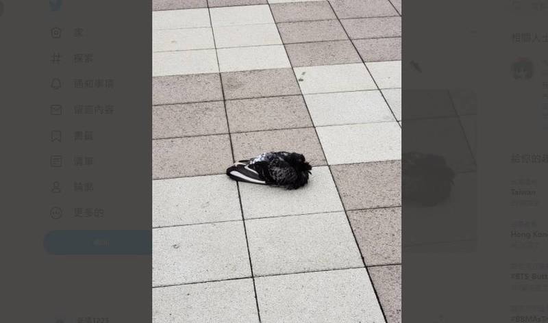 日本網友好奇，為什麼會有一隻「鞋子」落在路中央。（圖取自推特「@oGWgjs1JiVgF3uD」）