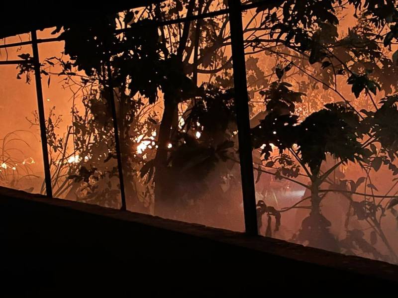 大安區一處豬舍後方空地深夜起火，消防人員趕往灌救。（記者歐素美翻攝）