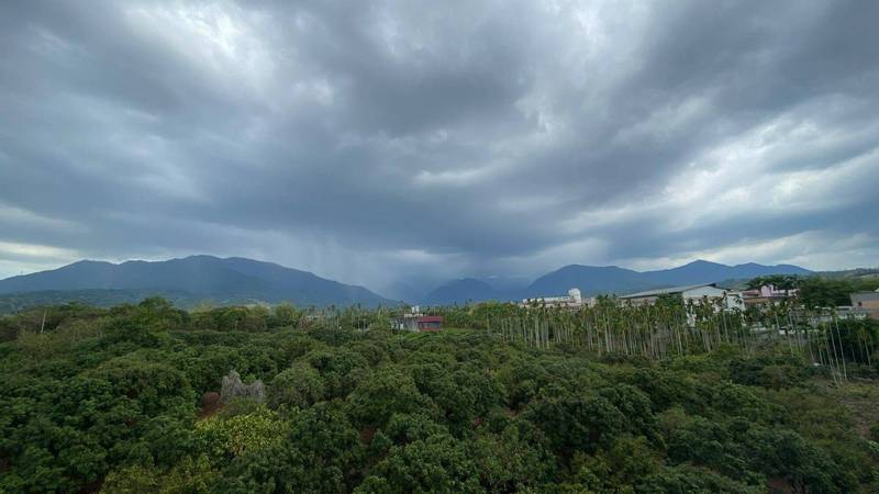 嘉義縣山區午後降甘霖鄉民 終於下雨了 生活 自由時報電子報