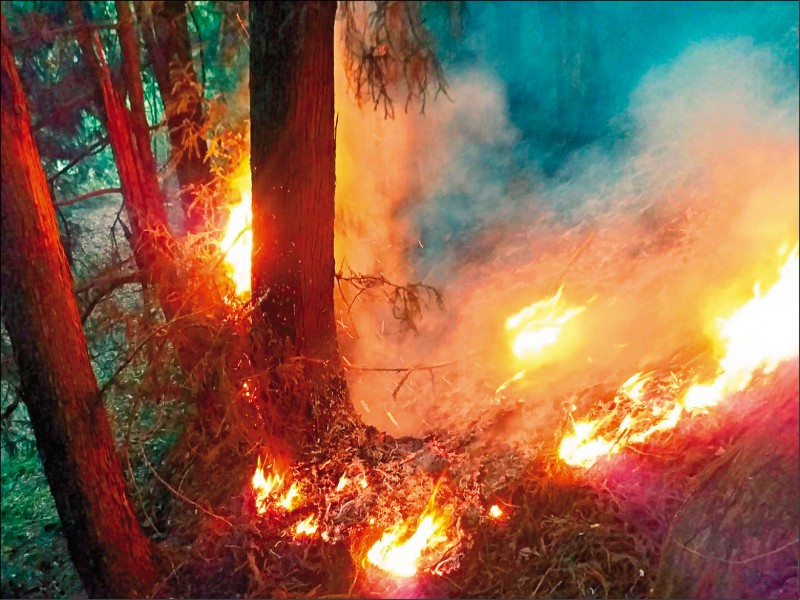 馬崙山火災延燒5天。
（東勢林管處提供）